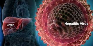obat tradisional penyakit hepatitis c terbaik